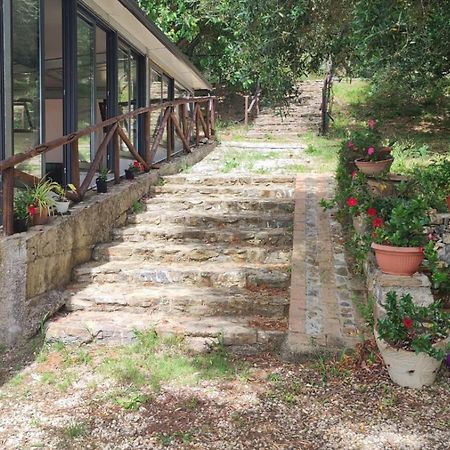 Agriturismo La Focazza Ascea Exterior foto