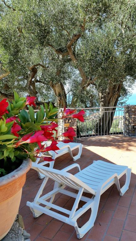 Agriturismo La Focazza Ascea Exterior foto