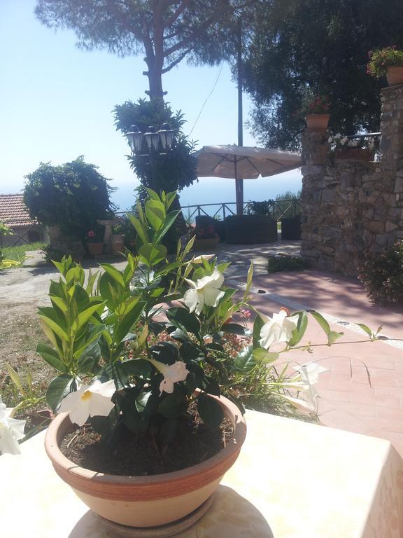 Agriturismo La Focazza Ascea Exterior foto