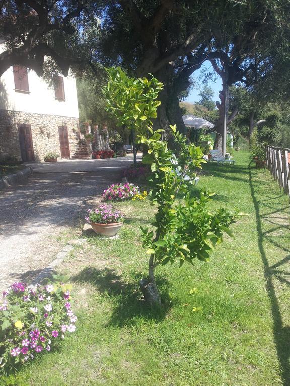 Agriturismo La Focazza Ascea Exterior foto